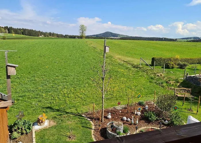 Appartement Graf Konrad Grafenau (Bavaria)